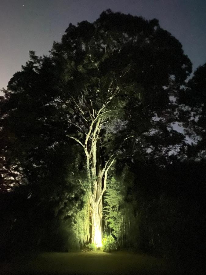 Recanto Da Floresta - Casa De Campo Em Secretario Petrópolis Extérieur photo